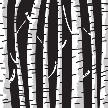 Sen çizmek için üç huş ağacı