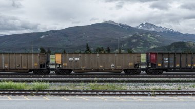 Demiryolunda bir tren. Kanada Pasifik Demiryolu konteynırları erzak ve kargo ile dolu. Ülke genelinde ulusal ulaşım ve nakliye ürünleri