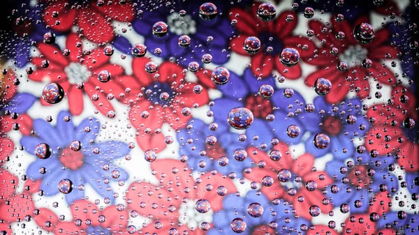 Colorful purple and red flower pattern reflecting in rain droplets on clear glass surface background. Water drops macro photography wallpaper