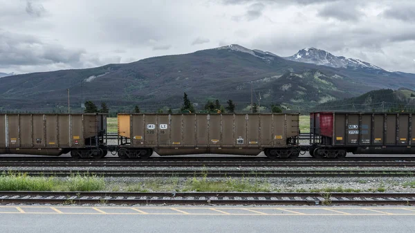 Demiryolunda Bir Tren Kanada Pasifik Demiryolu Konteynırları Erzak Kargo Ile — Stok fotoğraf
