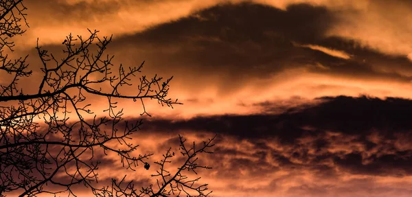 Dramatische Himmlisch Schönen Orangen Sonnenuntergang Und Sturm Wolken Landschaft Hintergrund — Stockfoto