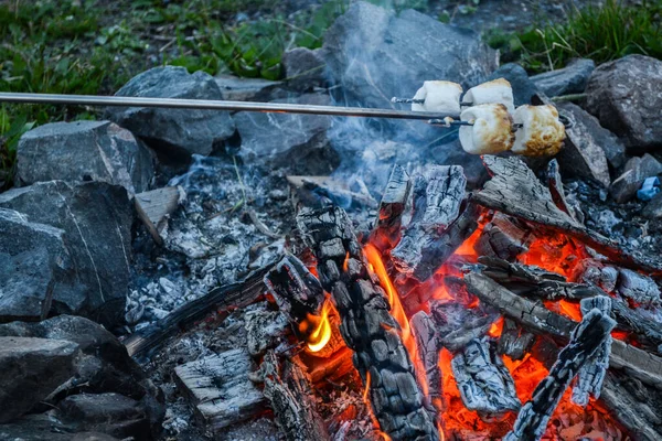 Roasting Delicious Marshmallows Campfire Pit — Stock Photo, Image