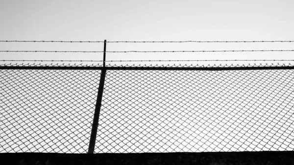 Barbed Wire Prison Fence Black White Background Jail Yard Wall — Stock Photo, Image