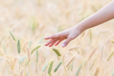Arpa dokunmadan el kadın