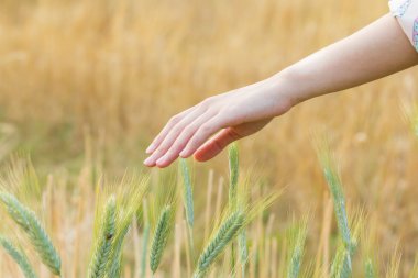 Arpa dokunmadan el kadın