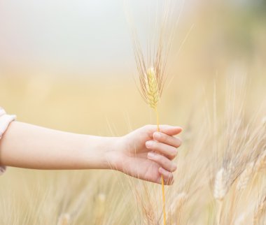 Arpa dokunmadan el kadın