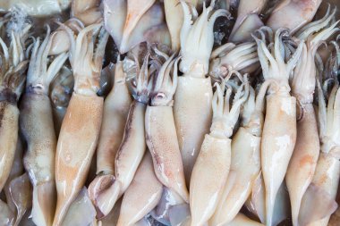 Taze mürekkep balığı buz üzerinde yığmak. Üstten Görünüm