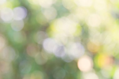 doğa bokeh arka plan