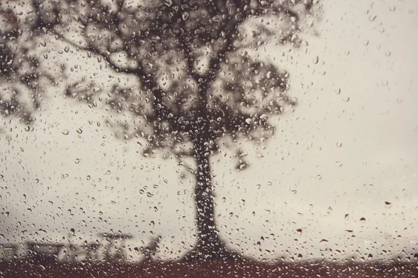 Kraftigt regn - utsikten genom fönstret, mjukt fokus — Stockfoto