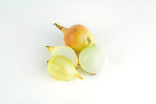Cebolla aislada con fondo blanco —  Fotos de Stock
