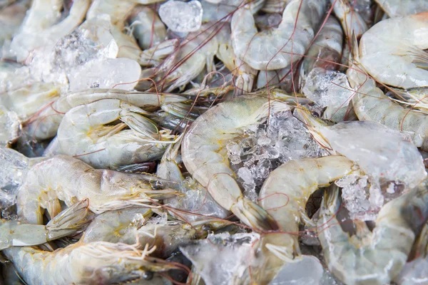 Fresh shrimp at the market — Stock Photo, Image