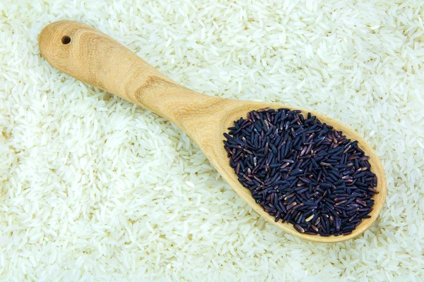 Sked bär ris, närbild — Stockfoto