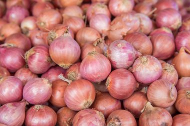 Kırmızı soğan ampul Satılık Market, Tayland
