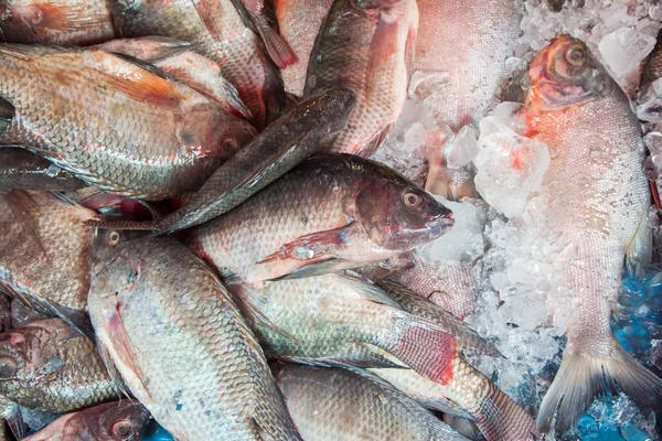 Fresh fish at the market,Thailand — Stock Photo, Image