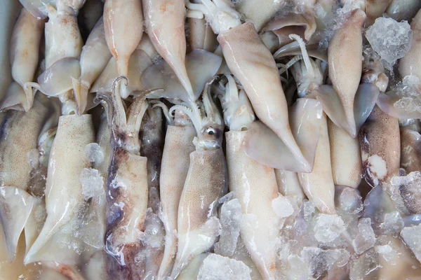 Fresh Squid pile up on ice at market ,Thailand,Top view — Stock Photo, Image