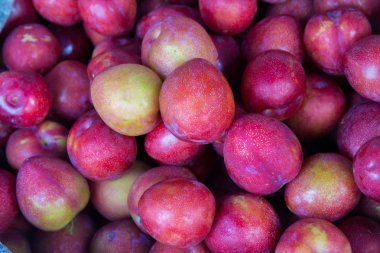 Taze kırmızı Çin Erik