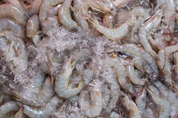 Fresh shrimp at the market,Thailand — Stock Photo, Image