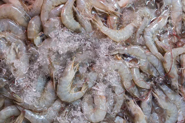 Camarão fresco no mercado, Tailândia — Fotografia de Stock