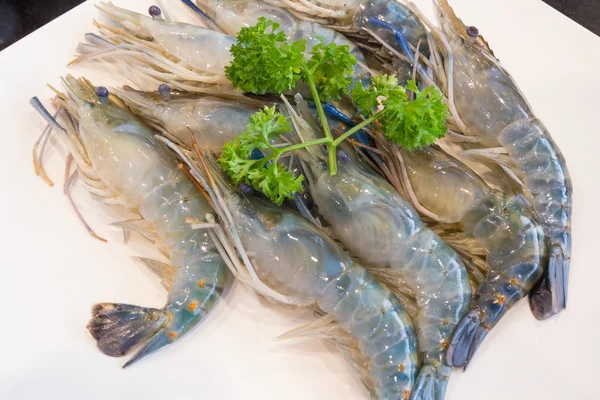 Fresh Shrimp with parsley — Stock Photo, Image