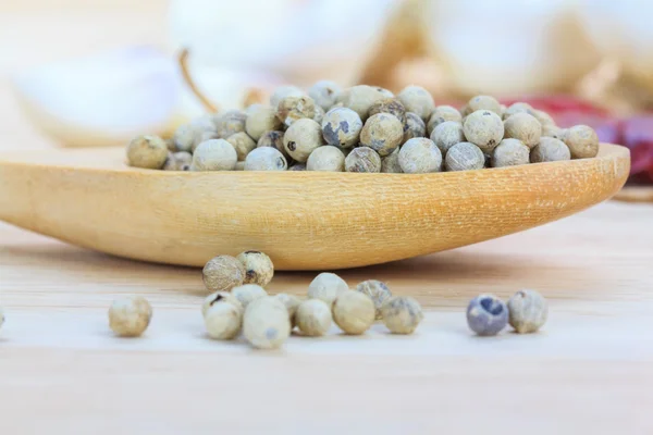 Nära håll vitpeppar i trä sked — Stockfoto