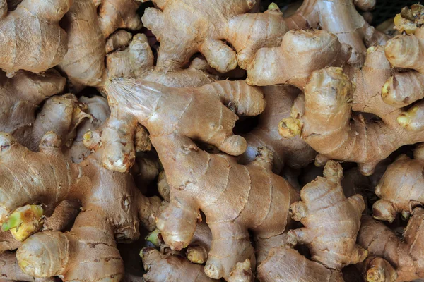 Ginger root till salu på marknaden, Thailand — Stockfoto