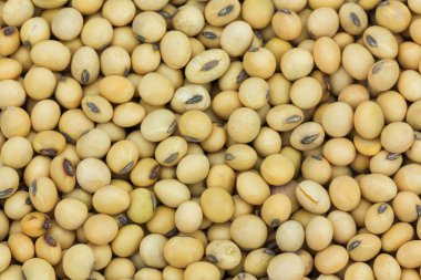 Arka plan için soya fasulyesi kadar kapatın