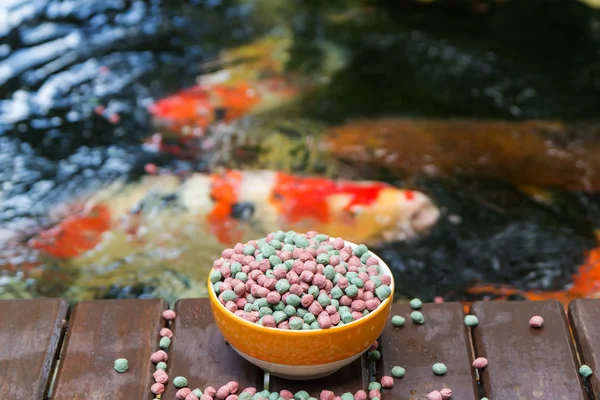KOI Food dan Koi Pond — Stok Foto