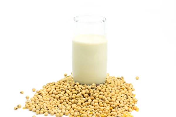 Feijão de soja e leite de soja isolado sobre fundo branco — Fotografia de Stock