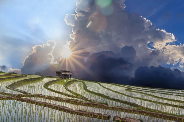 Beautiful rice terrace view, Chiang Mai, Northern Thailand — Stock Photo, Image