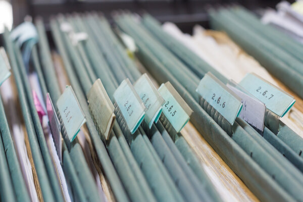 File folders in a filing cabinet
