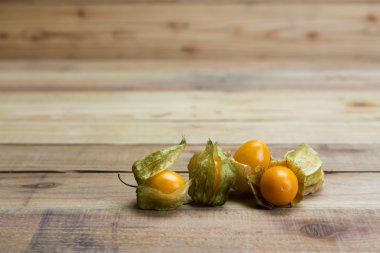 Cape bektaşi ahşap zemin üzerinde