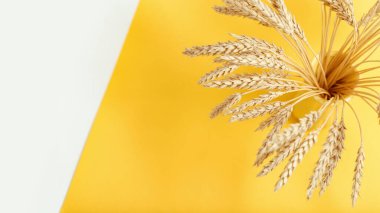 Seramik vazodaki buğday çivisi kadar yakın. Mısır gevreği hasadı. Zengin hasat yaratıcı konsept.