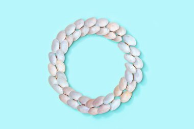 Turkuaz renkli kağıtta beyaz ve yumuşak pembe kabuklardan yapılmış bir çerçeve. Deniz kabuklarıyla yaz tasarımı sınırı.