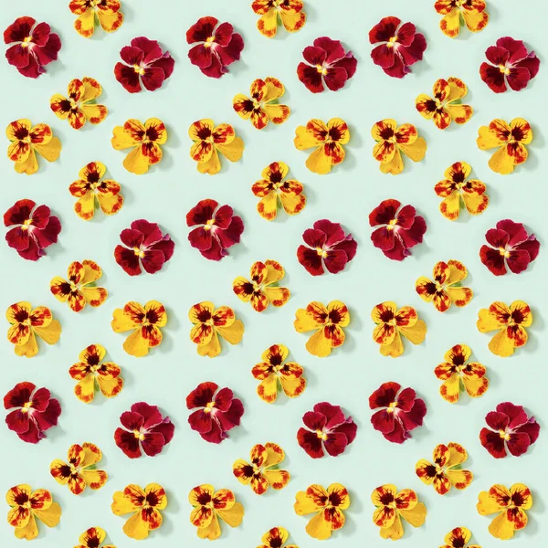 Seamless pattern with natural flowers heartsease on green paper. Small bright blooming buds of flowers pansy.