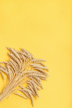 Kulakları olan sıkıştırılmış saplar. Sarı kağıtta altın buğday.