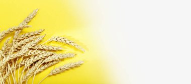 Sarı ve beyaz renkli arka planda buğday ve tahıl başakları ve güneş ışığının gölgeleriyle.