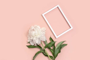 Beyaz şakayık ve yazı için çerçeve. Davetiyeler ya da bayram kutlamaları. Sevgililer Günü, Anneler Günü, Düğün.