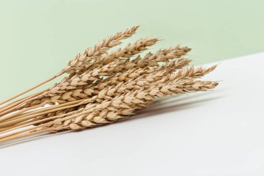 Olgun altın buğday kulakları kapanır. Pastel rengi arka plan, olgunlaşmış kulaklar ve mısır gevreği. Sonbahar hasat zamanı kavramı. Üst görünüm