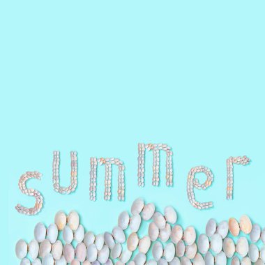 Turkuaz renkli kağıttaki beyaz ve yumuşak pembe kabuklardan yaz sözü. Doğal deniz kabukları ile yaz tasarımı konsepti.
