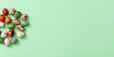 Açık yeşil üzerine renkli bıldırcın yumurtası. Kuşlar küçük yumurtalar, bahar Paskalya tatili arka planı.