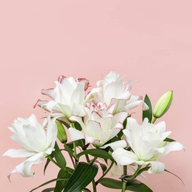 Beyaz şakayıklı zambak ile güzel bir tebrik kartı. Yumuşak çiçek yaklaş. Doğal çiçek arkaplanı.