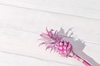 Beyaz ahşap masada, üzerinde sert ışık ve kopyalama alanı olan cüce süslemeli pembe ananas çiçeği. Bir egzotik bitki üst görünümü.