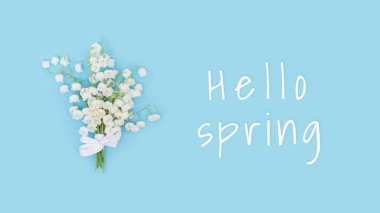 Narin bahar çiçekleri yumuşak mavi arka planda, vadinin beyaz zambakları çiçek açıyor. Bahar çiçeği kavramsal görüntüsü.