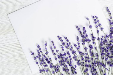 Kopya alanı olan kurutulmuş lavanta arkaplan. Lavanta kompozisyonu. Lavanta tozu, yakın çekim..