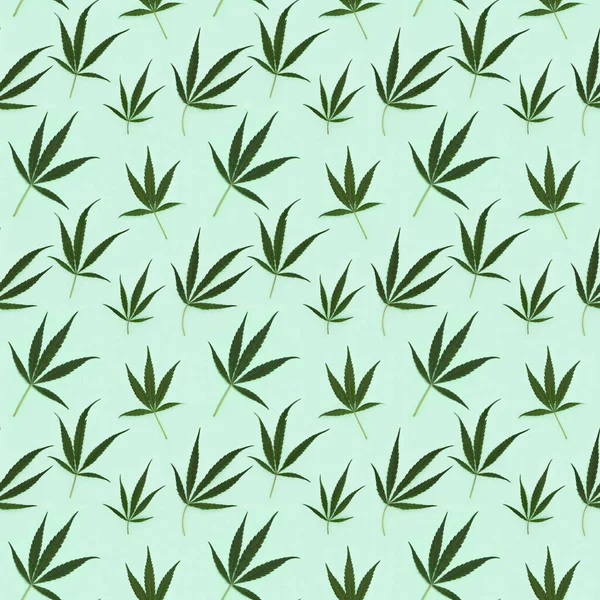 Patrón Sin Costuras Cannabis Hojas Sobre Fondo Papel Verde Claro —  Fotos de Stock
