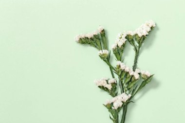 Kuru çiçekler, limonyum, yapraklar ve yumuşak yeşilde küçük çiçekler. Doğal çiçekli arka plan, doğa ya da çevre konsepti. Üst manzara, düz uzanma.