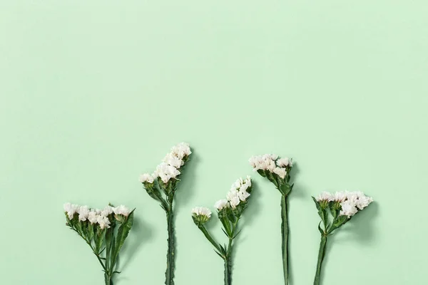 乾燥した花のリムニウム 葉や緑の上の小さな花のクローズアップ芽 コピースペース付きの自然な花の背景 パステルカラー トップビュー フラットレイ — ストック写真