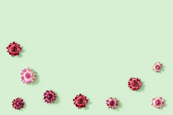 自然乾燥した花 柔らかい緑色の背景に小さな赤い花 花のデザイン 自然植物とグリーティングカード トップビュー フラットレイアウト — ストック写真