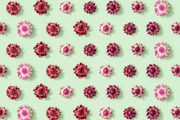 ドライフラワーのクローズアップ芽 緑の上の小さな花のパターン 自然の花の背景 パステルカラー トップビュー フラットレイ — ストック写真