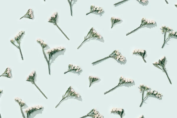 Doğal Kuru Çiçeklerin Deseni Yumuşak Mavinin Üzerindeki Küçük Beyaz Çiçek — Stok fotoğraf
